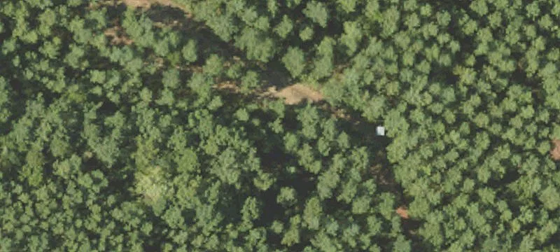 Wilderness Rd