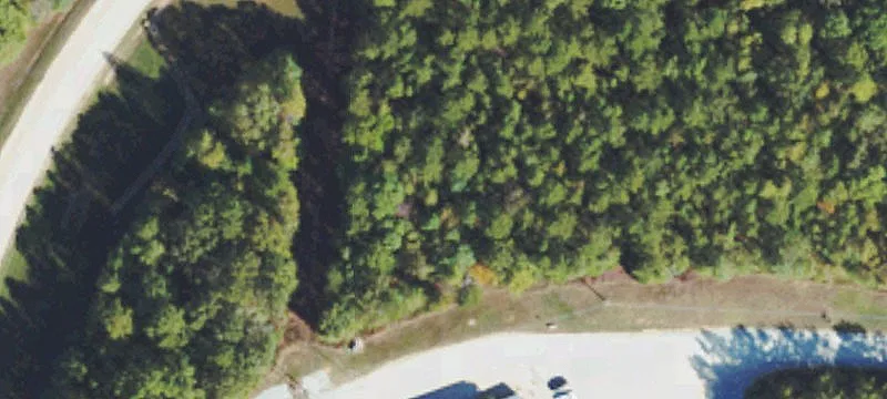 Walnut, MS 38683