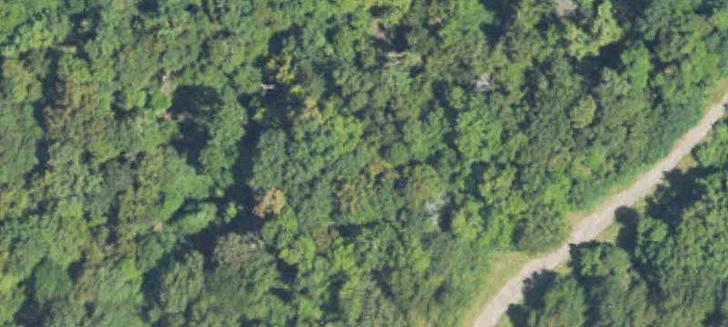 Rifle Range Rd
