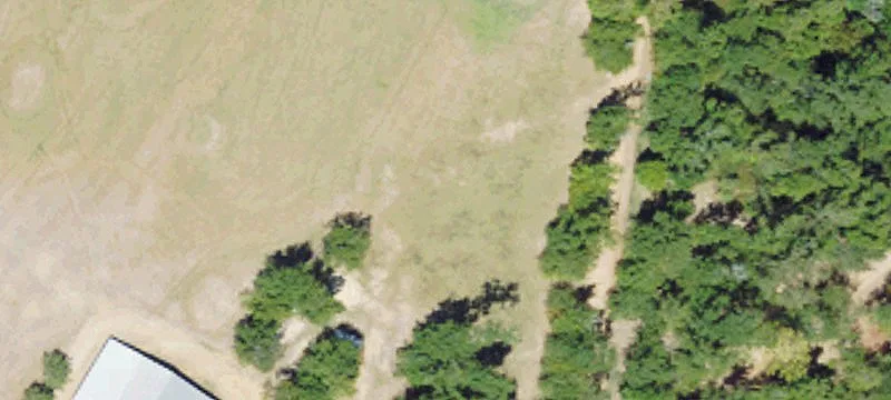 1047 Burt Loop Rd