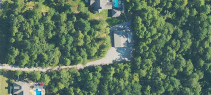 542 Longleaf Dr