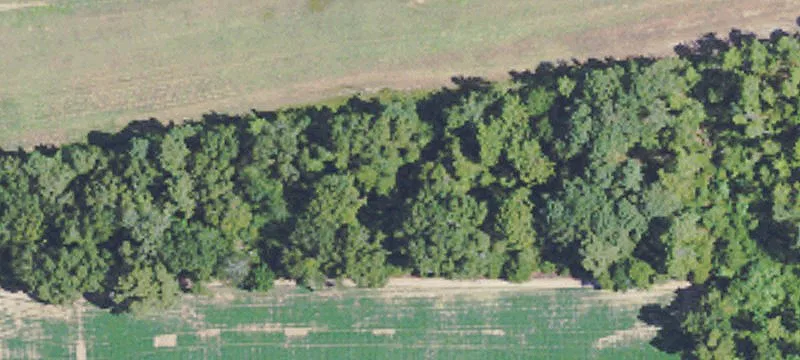 Lucedale, MS 39452