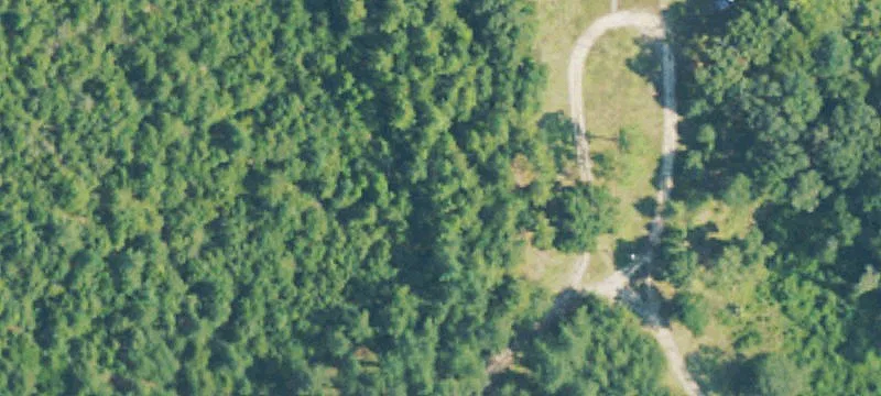 300 Sandbed Chicora Rd