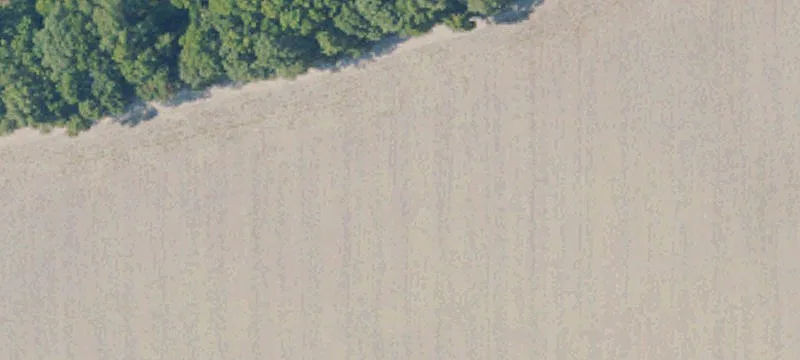 511 Cr