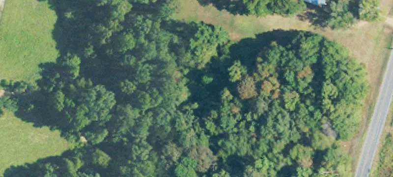 Columbia, MS 39429