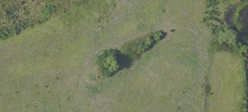 Pasture Behind Southern