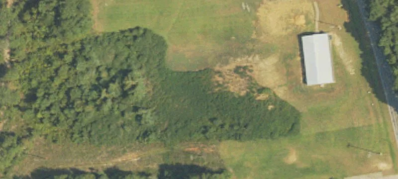 Union, MS 39365