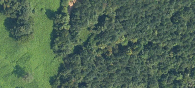 Aberdeen, MS 39730
