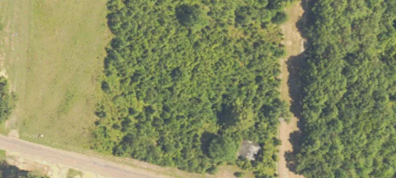290 Marks Rd
