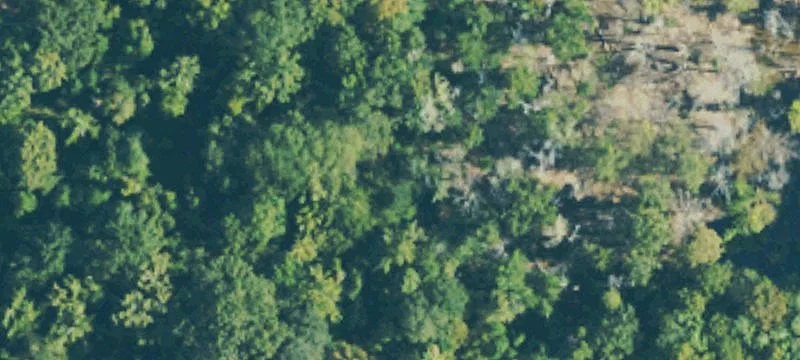 Sandy Hook, MS 39478