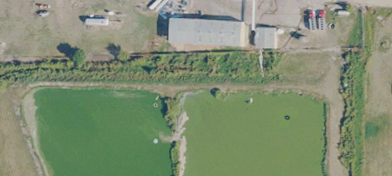 Isola, MS 38754