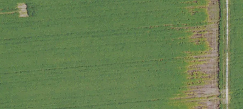 Tutwiler, MS 38963