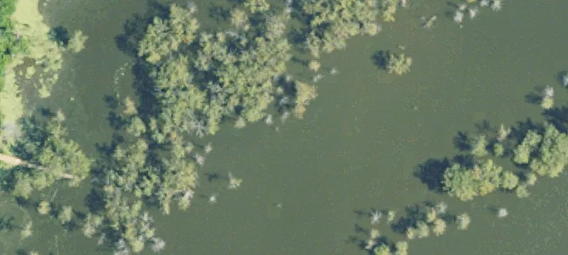 Woodville, MS 39669