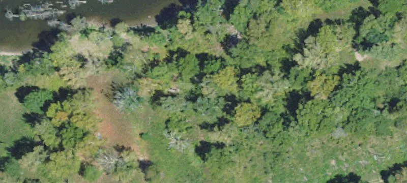 Woodville, MS 39669