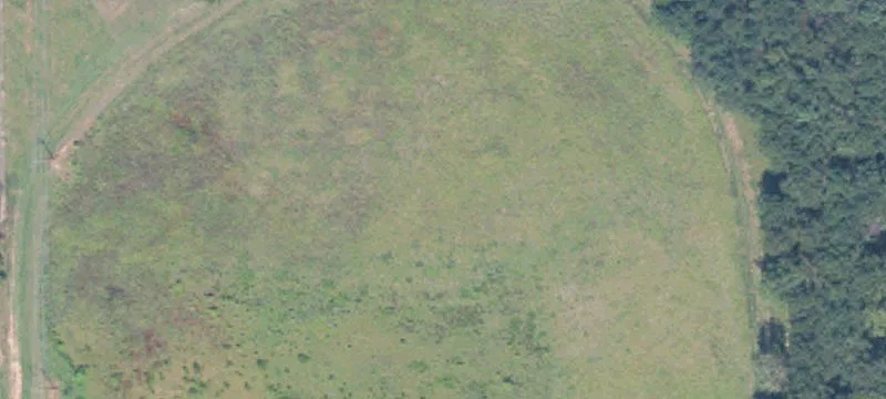 Aberdeen, MS 39730