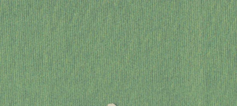 Grace, MS 38745