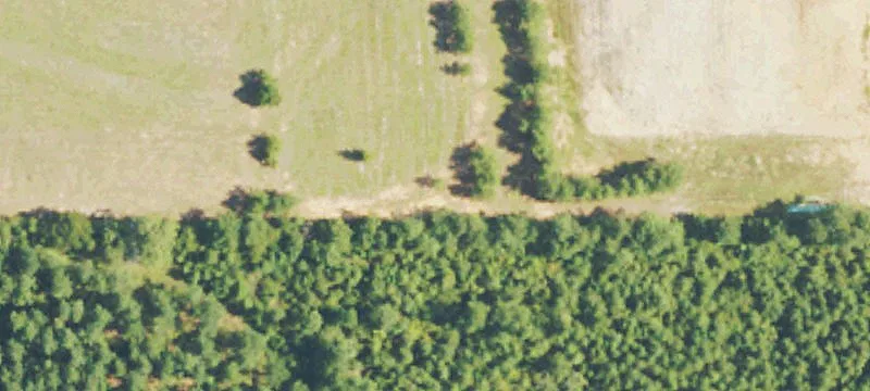 Sonat Rd