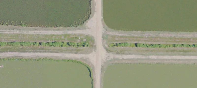 Inverness, MS 38753
