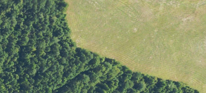 Mendenhall, MS 39114