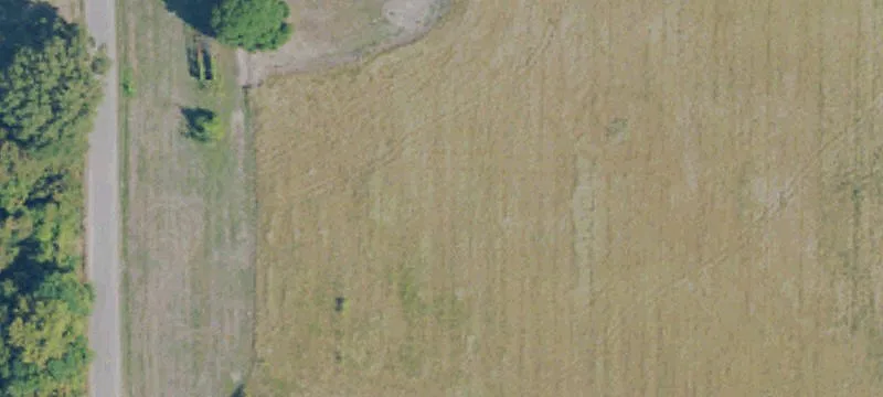 Isola, MS 38754