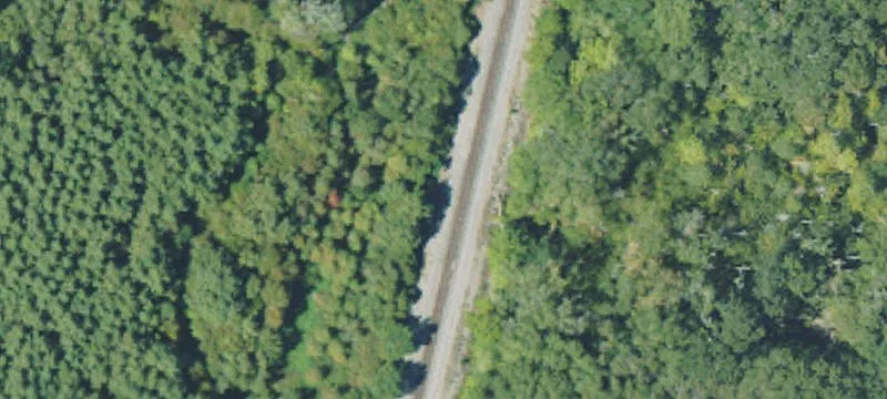 Bogue Chitto, MS 39629
