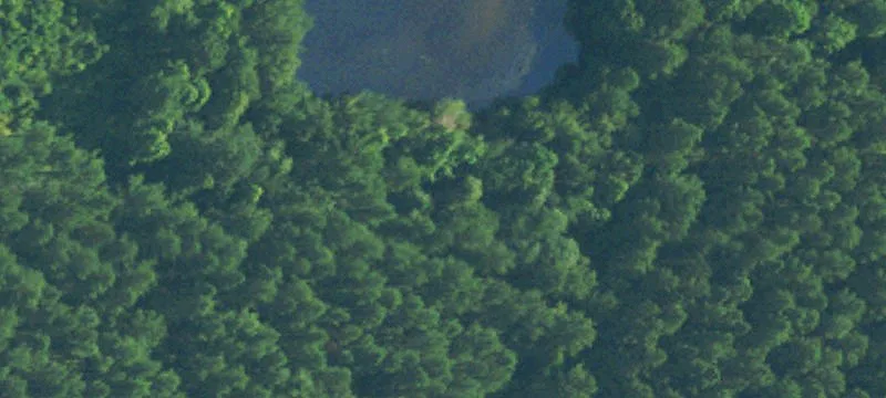 Bassfield, MS 39421