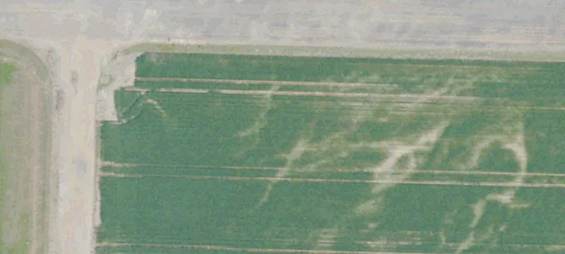 Greenwood, MS 38930
