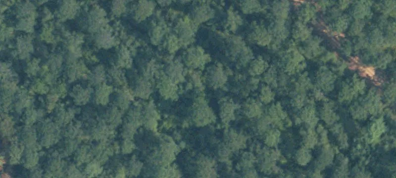 Macon, MS 39341