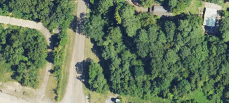 Cedar St
