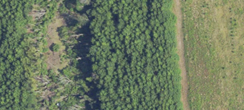 Anguilla, MS 38721