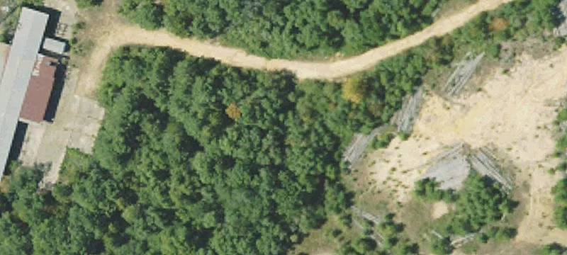 Sawmill NE Ln