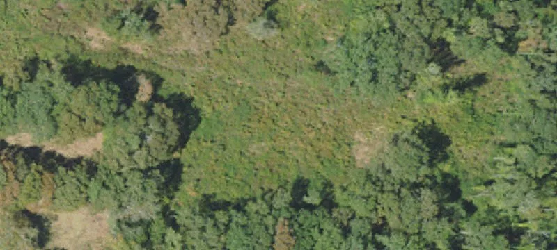 Bogue Chitto, MS 39629