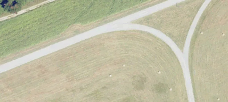 Levee