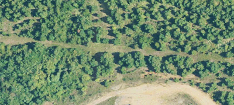 Sandy Hook, MS 39478