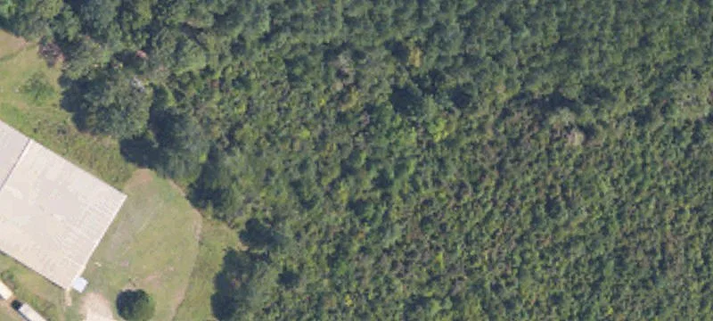 Woodland, MS 39776