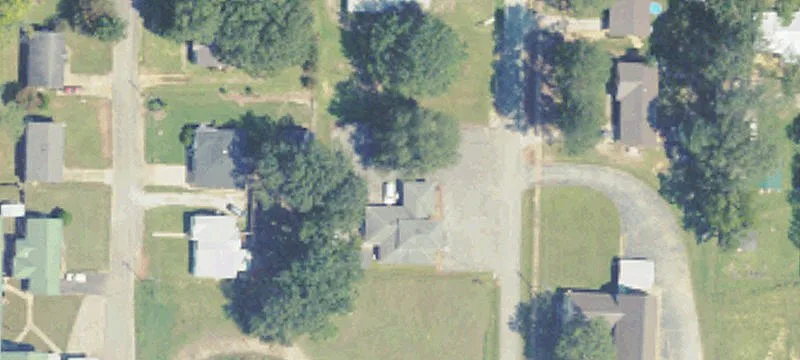 101 Mimosa St