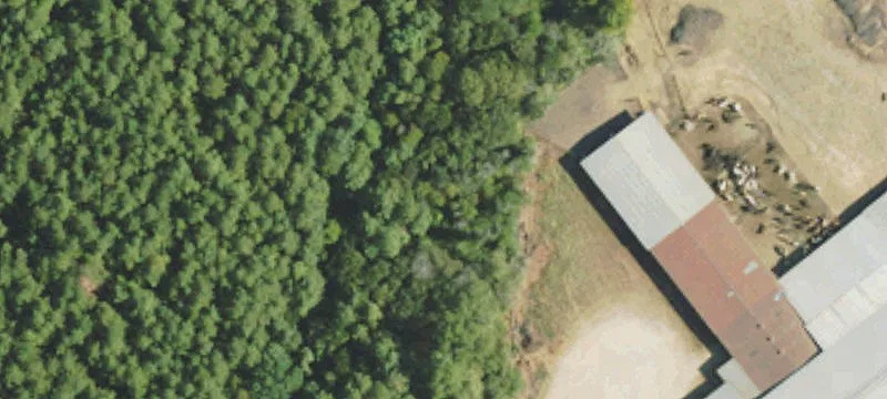 Tylertown, MS 39667