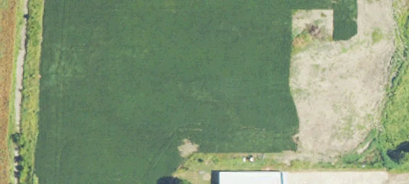 1003 Hwy 61