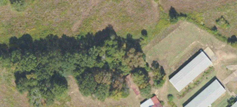 Tremont, MS 38876