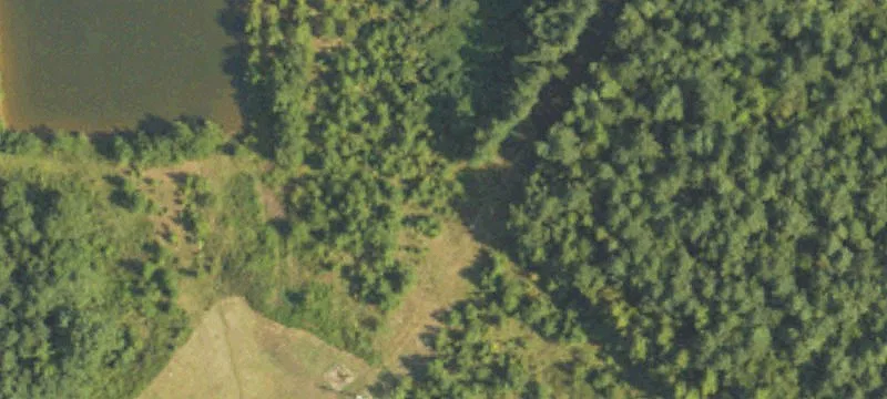 Union, MS 39365