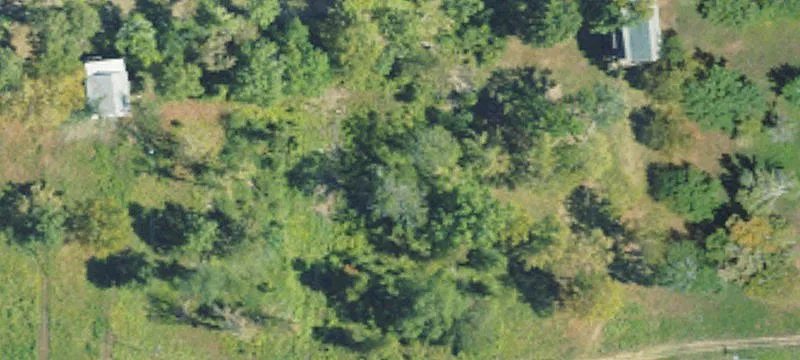 Woodville, MS 39669