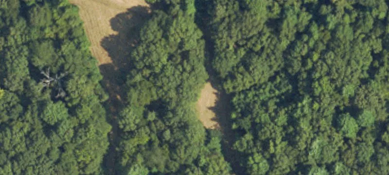 Courtland, MS 38620