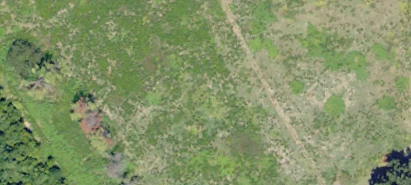 Hwy 1st 1