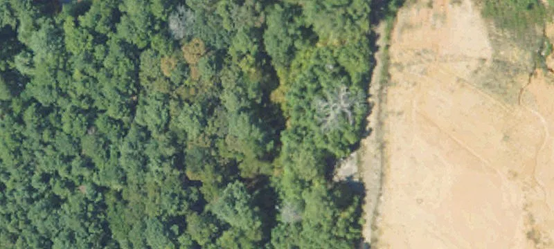 7034 Hwy 98th E