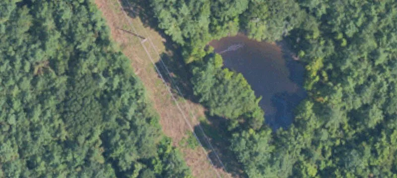 31201 Hwy 12