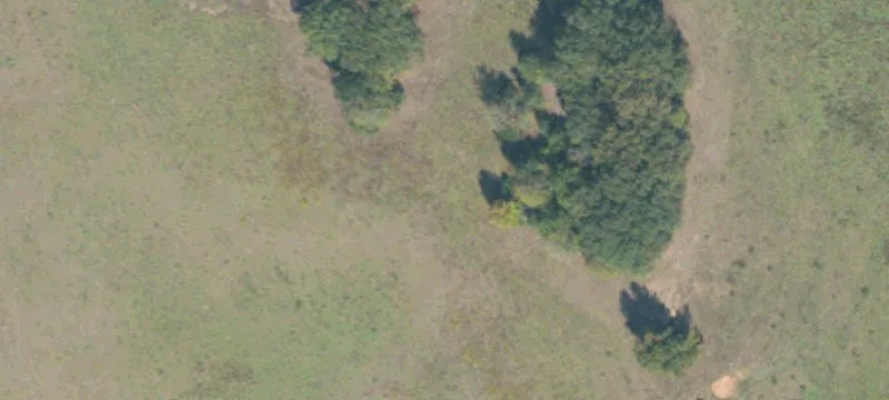 Pittsboro, MS 38951