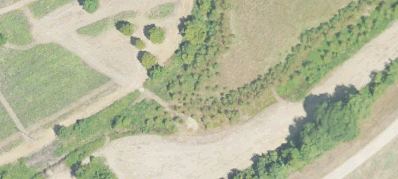 Levee Rd