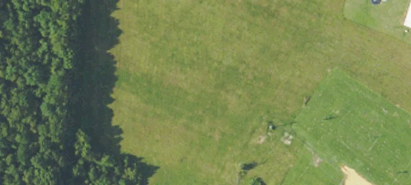 New Albany, MS 38652