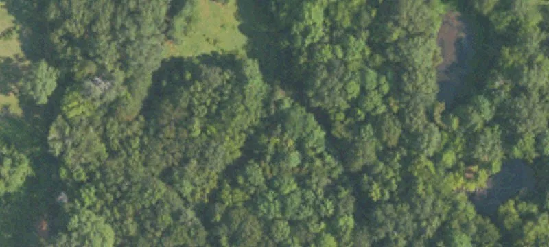 Houston, MS 38851