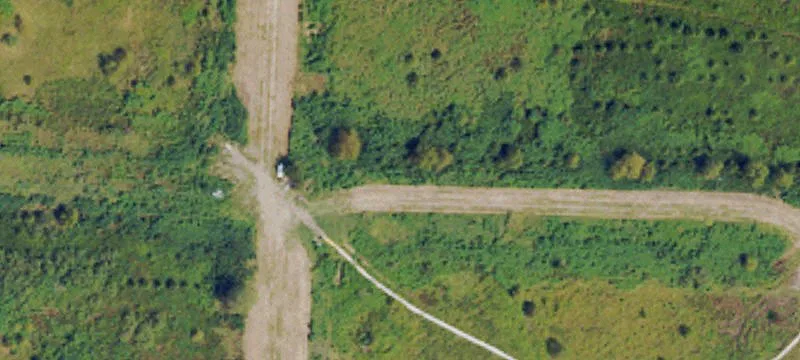 Isola, MS 38754